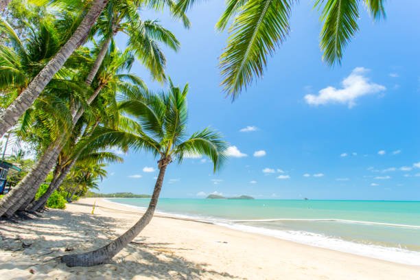 port Douglas Private Transport