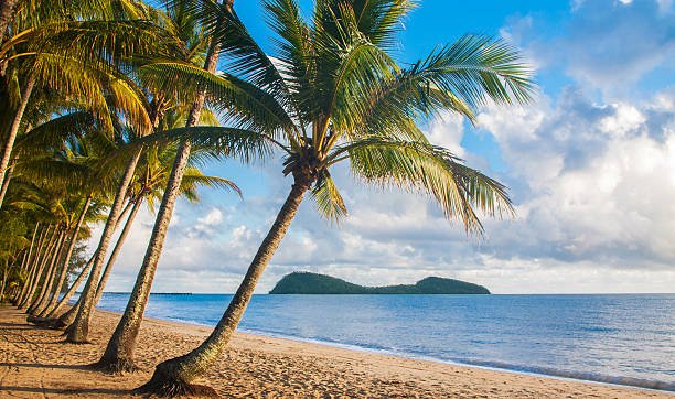 port Douglas Private Transport